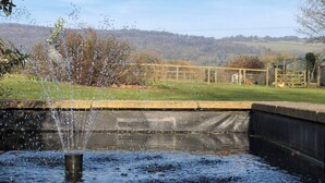 Ein Wasserspiel mit einer Fontäne in ländlicher Umgebung, umgeben von einem Zaun und Pflanzen.