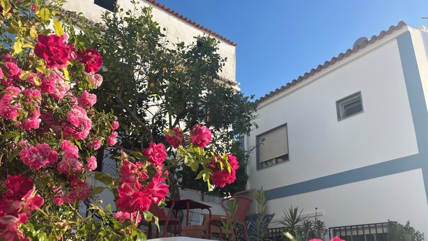 A building with a white facade and blue trim, surrounded by lush pink flowers and greenery. - 2-BR House with garden in fishing village Ferragudo, by the river and the ocean. (Ferragudo)