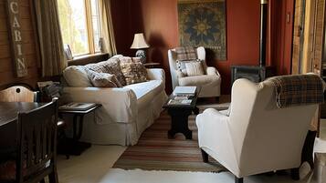 Fireplace, DVD player, books