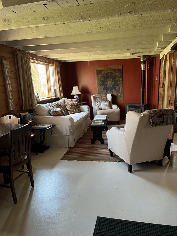 Fireplace, DVD player, books