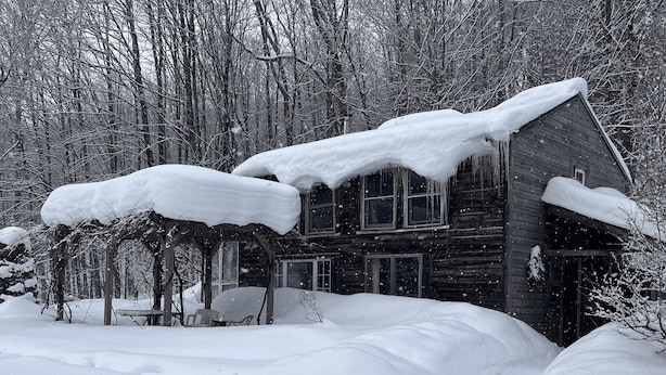 A wooden cabin surrounded by snow-covered trees. - Dream Cabin in charming Hyde Park with WiFi access (HYDE PARK)