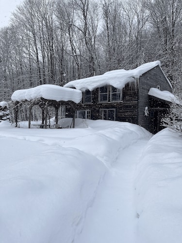 Dream Cabin in charming Hyde Park with WiFi access