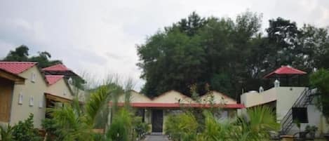 Pemandangan taman