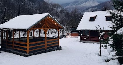 Charming 2-bedroom cottage in Hunedoara with WiFi, AC