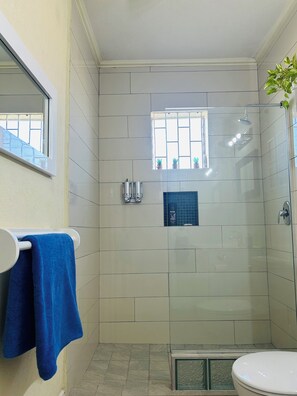 Shower, hair dryer, towels, soap