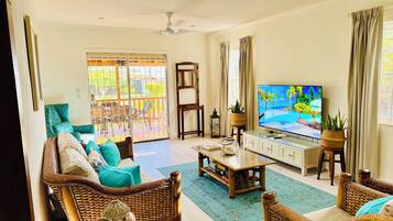 Smart TV, books