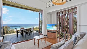 TV, DVD player, video library