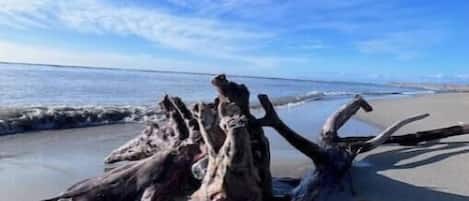 Plage