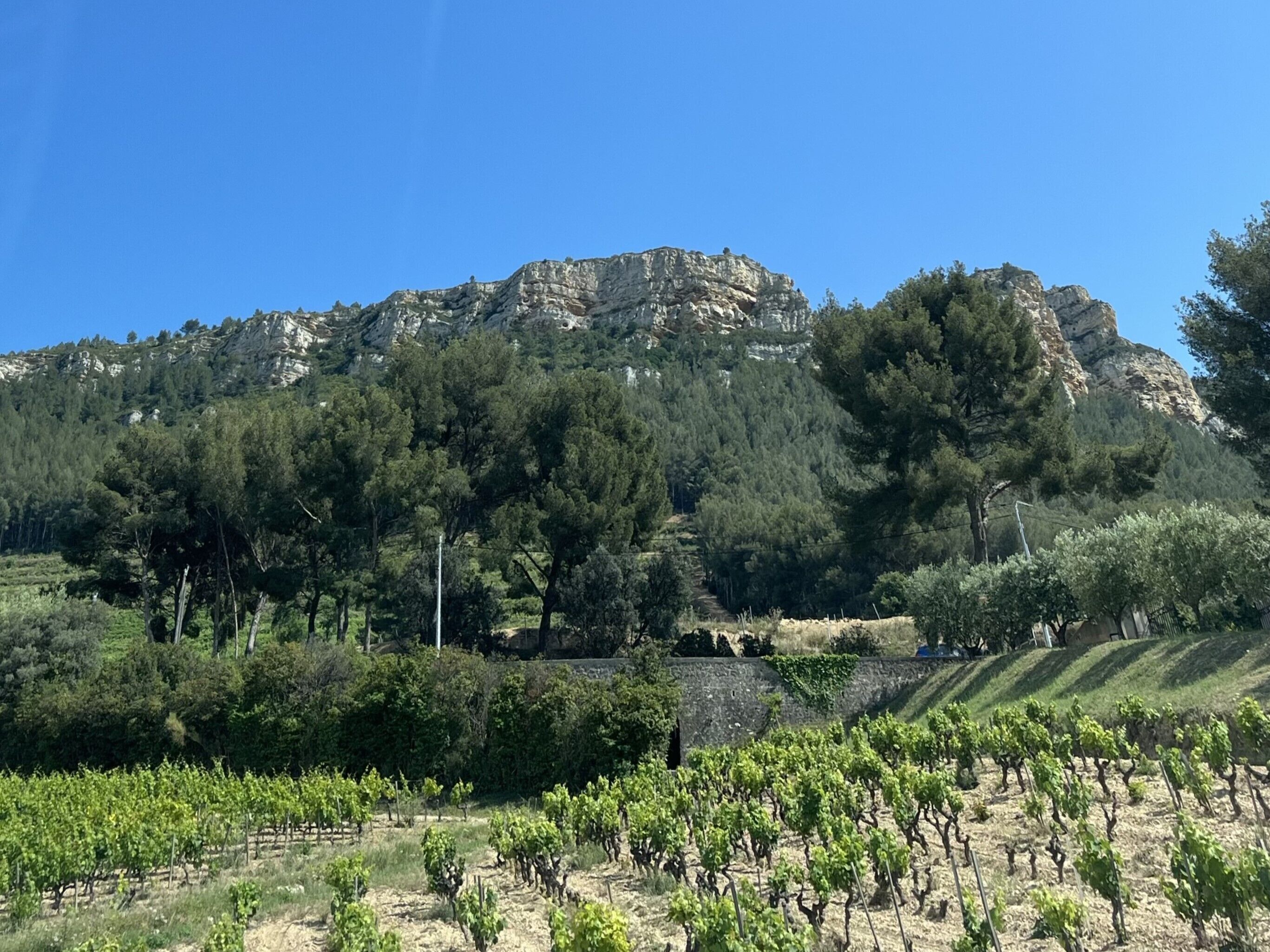 Un vignoble avec des rangées de vignes, un mur de pierre et une chaîne de montagnes en arrière-plan.