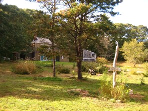 Exterior - Cozy 3BR Cottage with Lambert's Cove Beach access (West Tisbury)