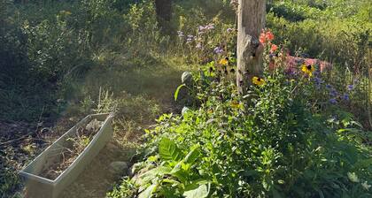 Cozy 3BR Cottage with Lambert's Cove Beach access