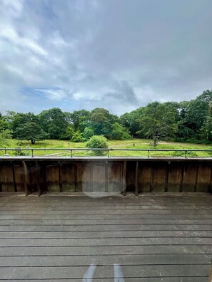 View from property - Cozy 3BR Cottage with Lambert's Cove Beach access (West Tisbury)