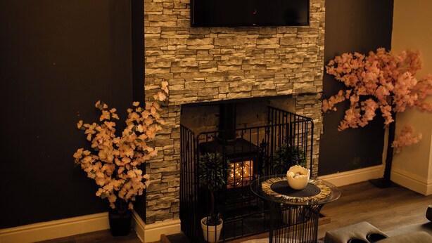 A stone fireplace with a flat-screen TV displaying 'NETFLIX' above it. There are two potted plants with pink flowers on either side of the fireplace.