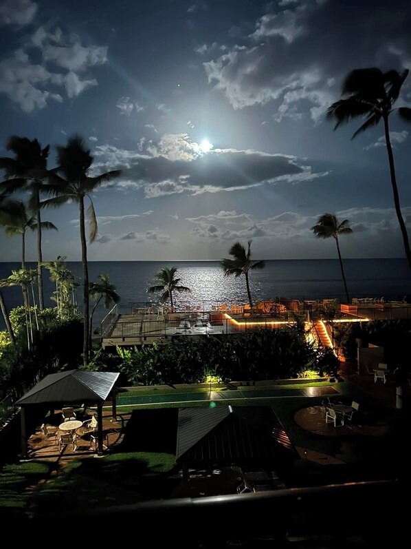 Property grounds - Oceanfront, Sunsets, Whales, and Sea Turtles at Honuloha, Floor & Remodeled (Lahaina)