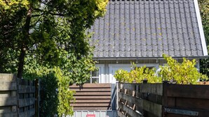 A gated entrance with a wooden fence, a welcome sign, and a potted plant. - Holiday Home in Domburg Near the Beach (Domburg)