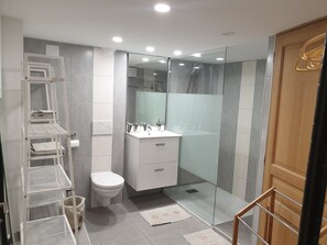 Shower, hair dryer, bidet, towels