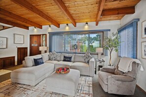 Smart TV, fireplace, video games, DVD player