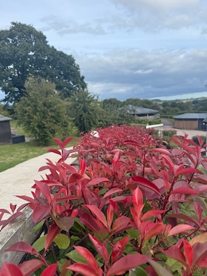 Property grounds - Beautiful barn conversion in Mid Devon close to adventure, gastronomy and nature (Lapford)