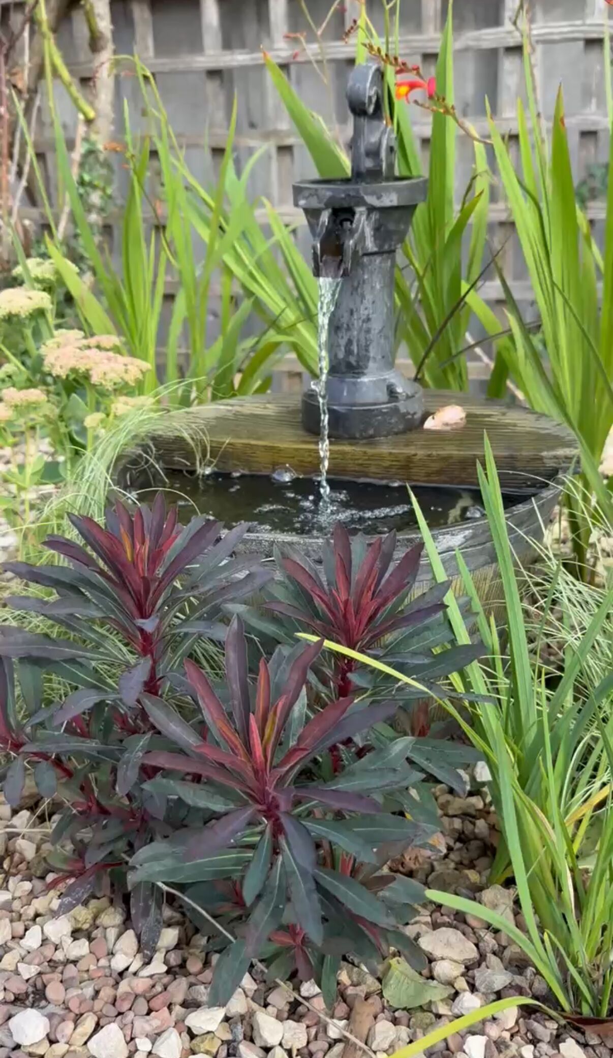 Un jardín con un estanque y una fuente, rodeado de diferentes plantas.