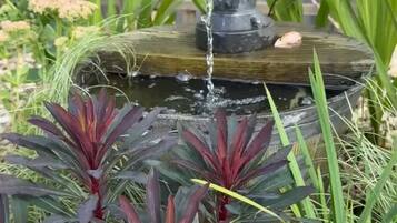 Un jardín con un estanque y una fuente, rodeado de diferentes plantas.