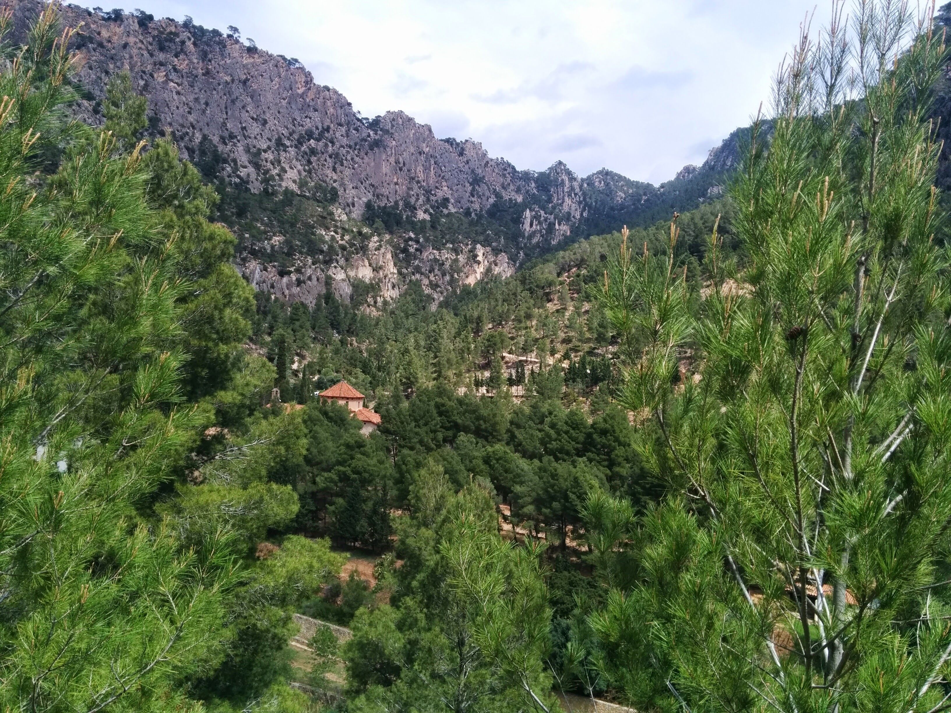 Eine bergige Landschaft mit dichten Kiefernwäldern und ein kleines Gebäude mit rotem Dach, eingebettet zwischen den Bäumen.