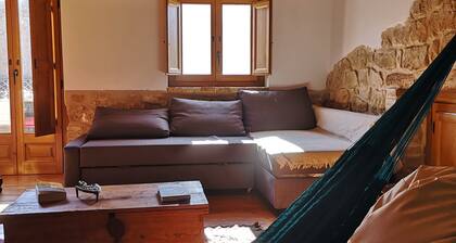 Ca la Fina - Rural house with AC