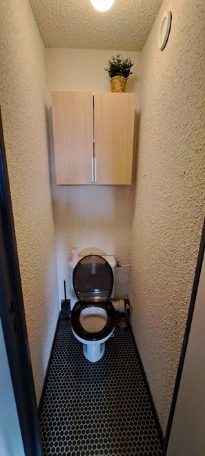 Haartrockner, Toilettenpapier