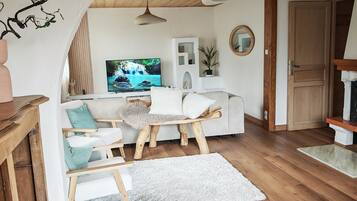 TV connectée, cheminée, lecteur de DVD