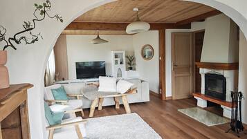 Smart TV, chimenea y reproductor de DVD