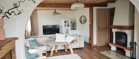 TV connectée, cheminée, lecteur de DVD