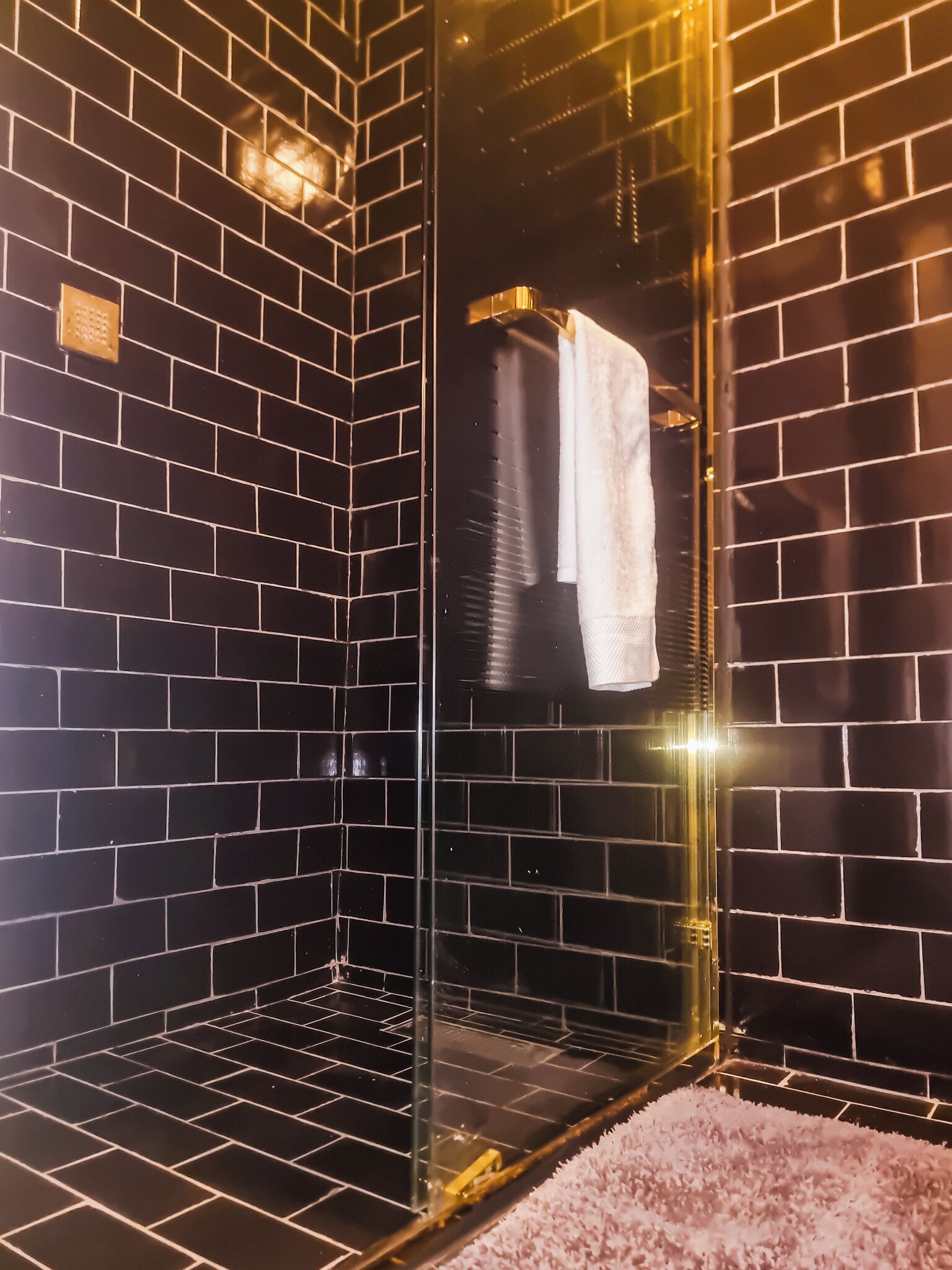 Douche, serviettes fournies, papier toilette