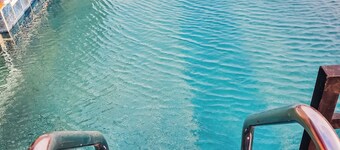 Platinum Lux 1- Bedroom Unit @ The O's Apartments