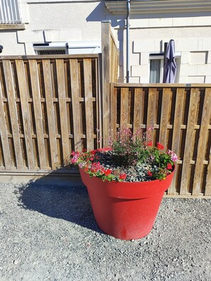 Overnatningsstedets område