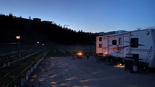 A campsite with a trailer and a gravel path leading to a vineyard.