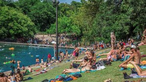 A crowded outdoor swimming pool with people sunbathing and swimming.