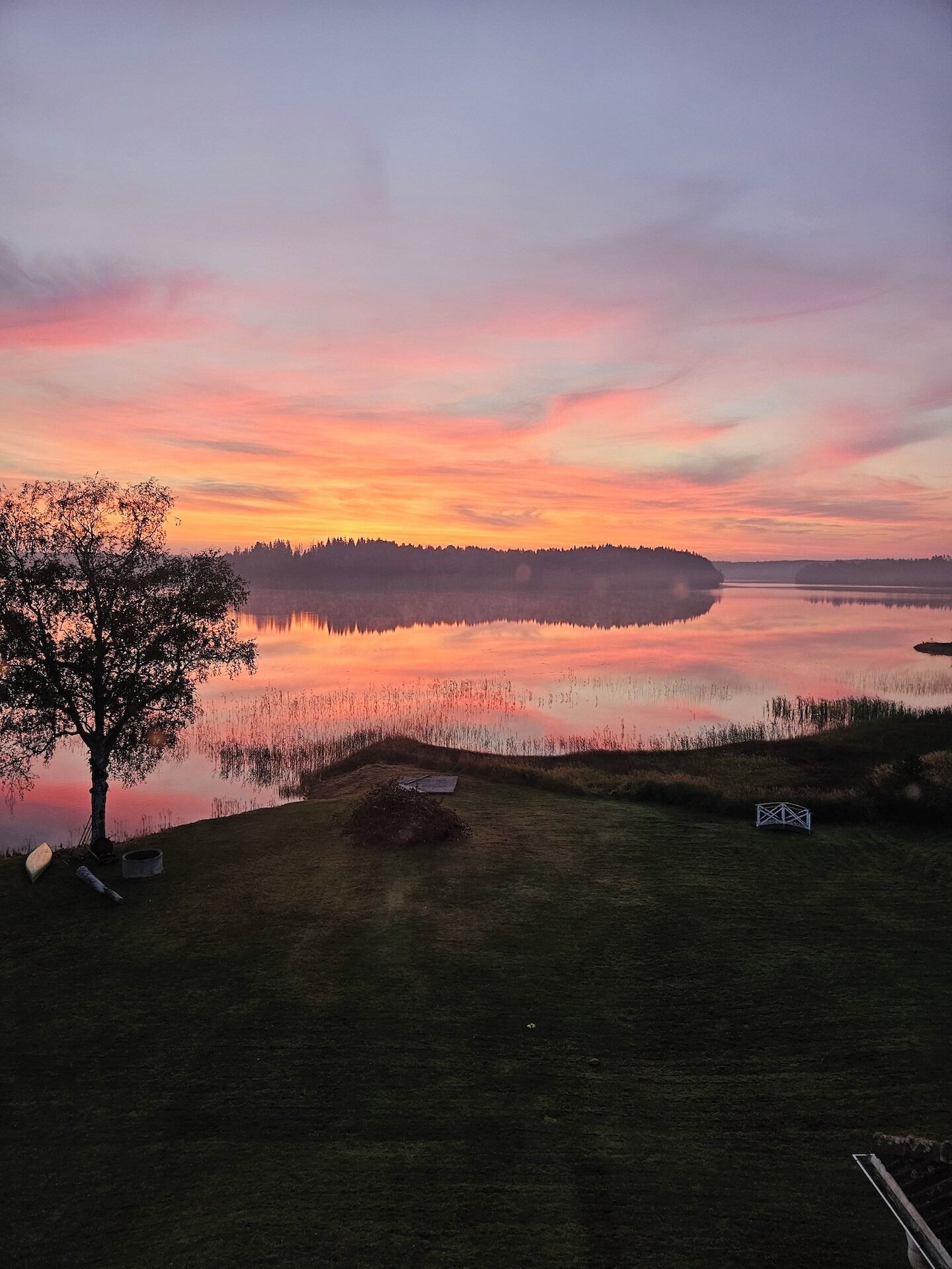 A tranquil lakeside view with a clear sky, calm water, and a distant forest.