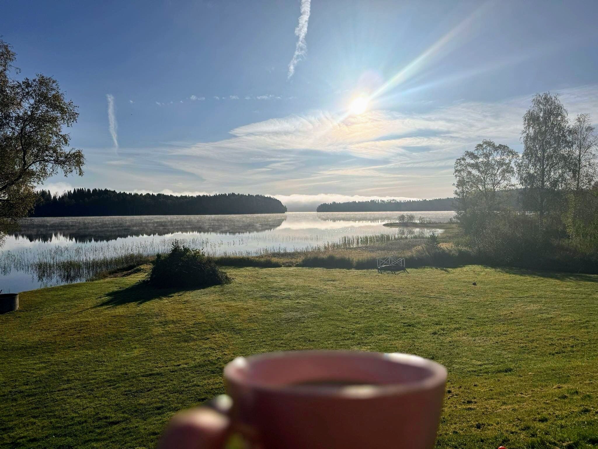 Una vista tranquila de un lago con cielo despejado, un bosque distante y una taza en primer plano.