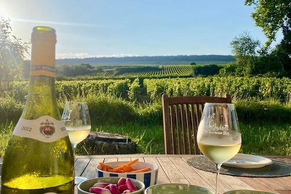 Vue de la terrasse sur les vignes de Corton
