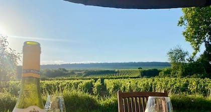 Charming villa in the middle of the vineyards