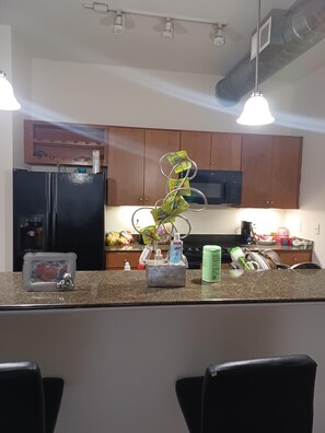 Fridge, microwave, oven, stovetop - Sabine street Lofts Forget your worries in this spacious peaceful atmosphere (Houston)