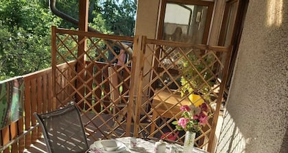 Vacations on the farm