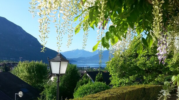 Ein steiniger Pfad führt zu einer Bank mit einer Lampe, umgeben von üppigem Grün und Blick auf einen See und Berge.