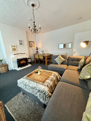 TV, fireplace, books