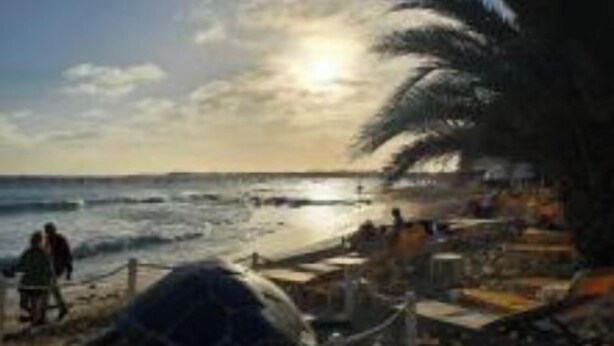 En strandscene med klar himmel, en palme og nogle få mennesker der går.