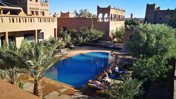 A pool area with palm trees and a clear blue sky. - Auberge Famille BenMoro (Skoura)