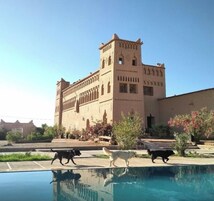Un gran edificio con una torre central y ventanas en arco, rodeado por una piscina y follaje.