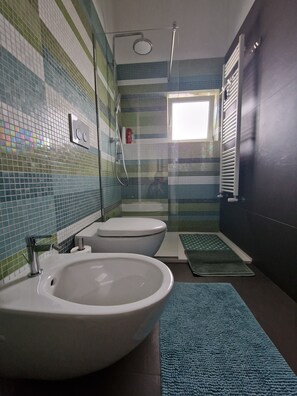Ducha, secador de pelo, bidé y toallas