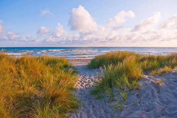 On the beach - Directly on the cliffs with beach access, beautiful nature in a quiet location. (Rerik)