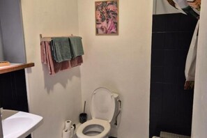 シャワー、ヘアドライヤー、タオル、石鹸