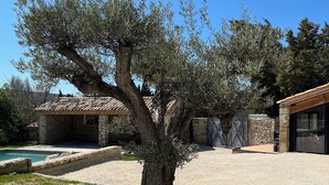 Un mur de pierre entoure une zone abritant une piscine, et un arbre se dresse au centre.